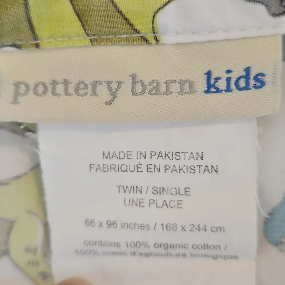 Pottery Barn Kids Dinosaur Multicolor Cotton Twin Flat Sheet